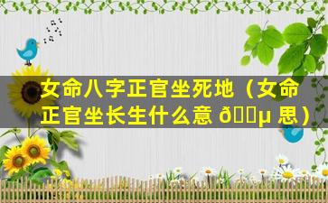 女命八字正官坐死地（女命正官坐长生什么意 🐵 思）